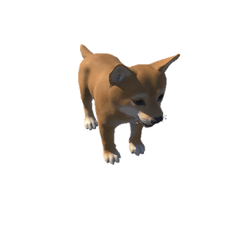 Shiba_puppy_HighPoly