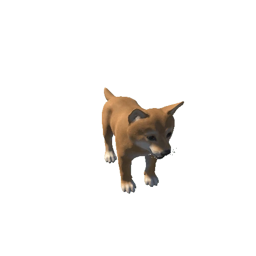 Shiba_puppy_HighPoly