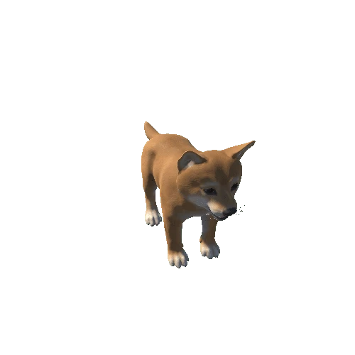 Shiba_puppy_IP