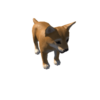 Shiba_puppy_LowPoly