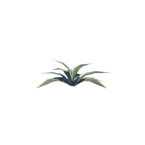 PW_P_Detailed_Agave_01