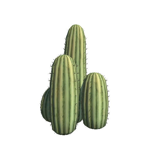 PW_P_Detailed_CactusCluster_01