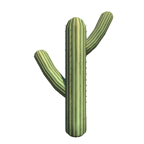 PW_P_Detailed_Cactus_02