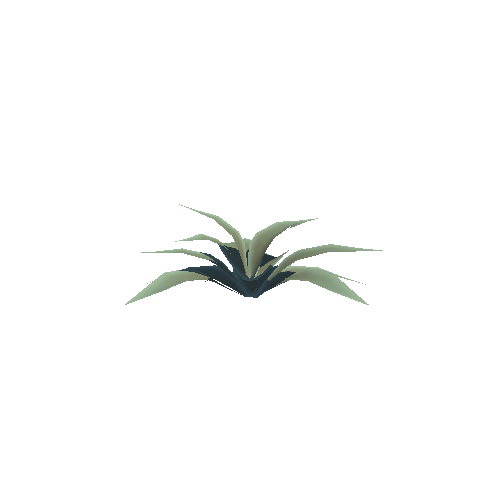 PW_P_Stylised_Agave_01