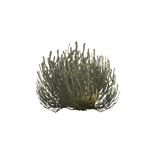 PW_P_Stylised_Bush_01