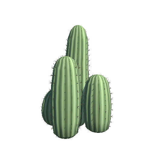 PW_P_Stylised_CactusCluster_01