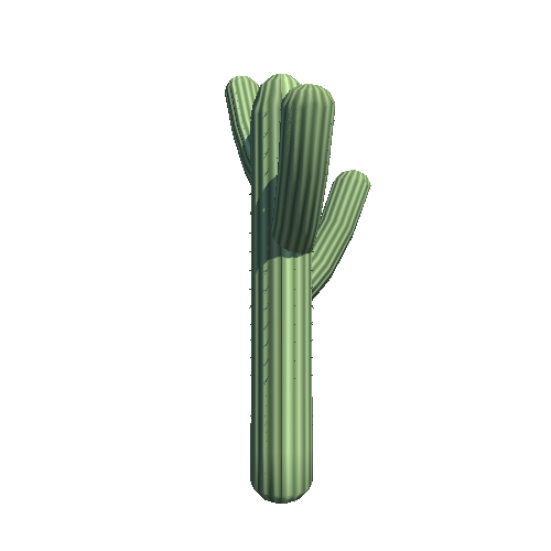 PW_P_Stylised_Cactus_03