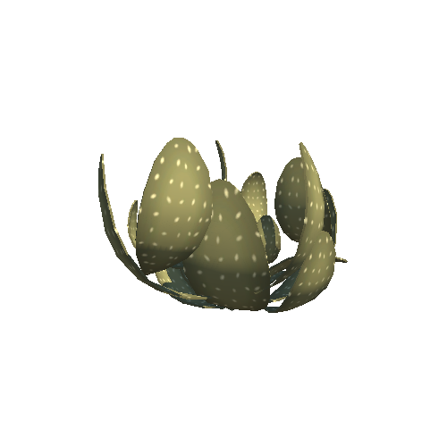 PW_P_Stylised_Cladodes_01