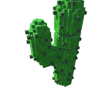 NCS_Cactus001