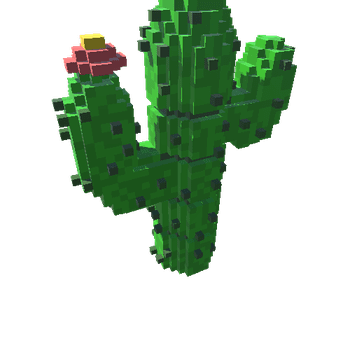 NCS_Cactus003