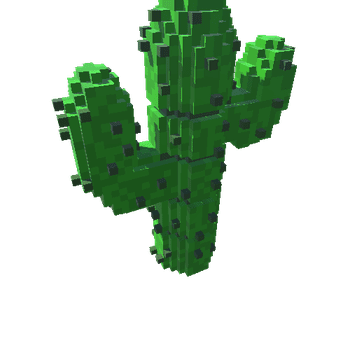 NCS_Cactus004