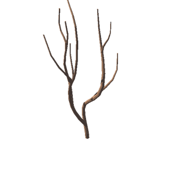 Tree_10