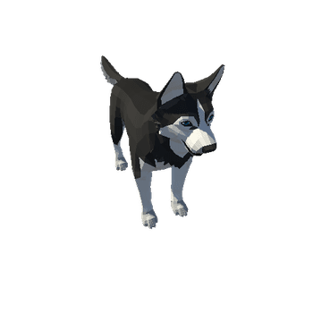 Husky_01