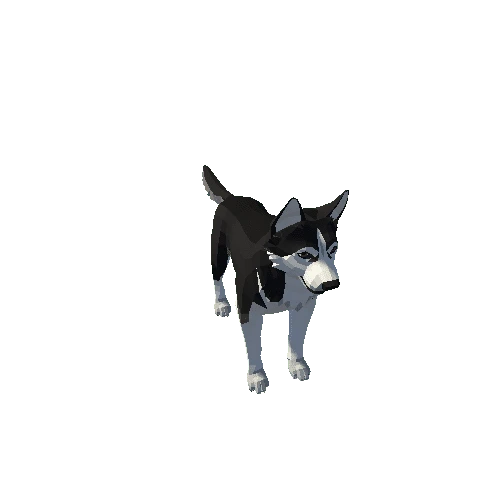 Husky_02