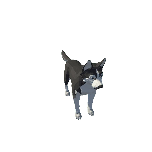 Husky_03