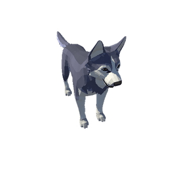 Husky_04