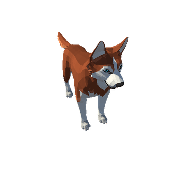 Husky_05