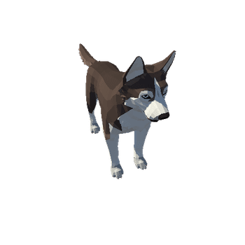 Husky_08