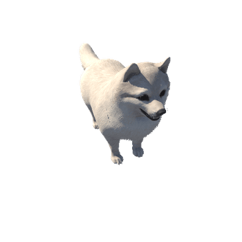 Spitz_HighPoly_A_c2