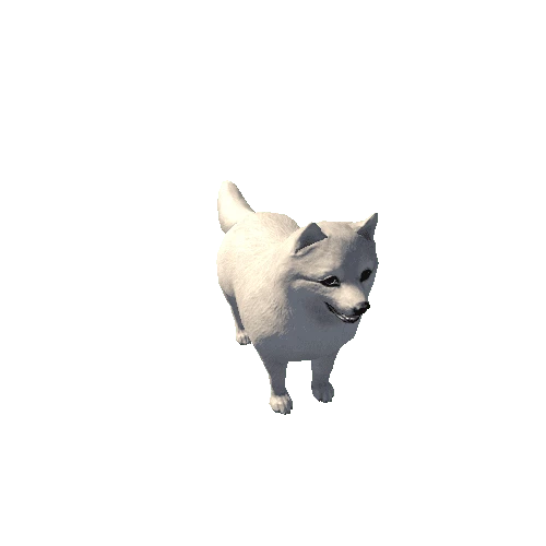 Spitz_LowPoly_c2