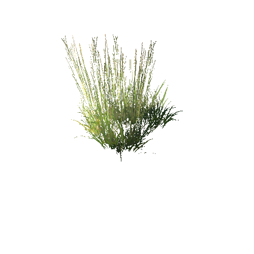 Grass_02