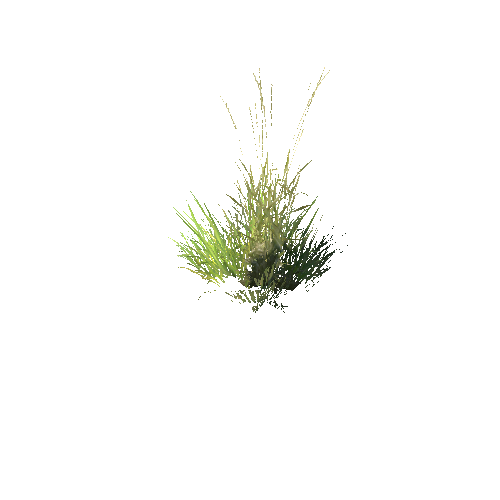 Grass_03