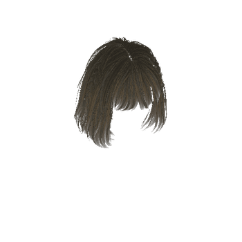 Hairstyle_10_RigSkining