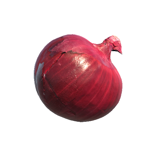 Onion1