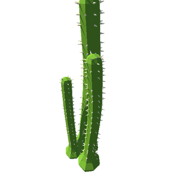 4cactus