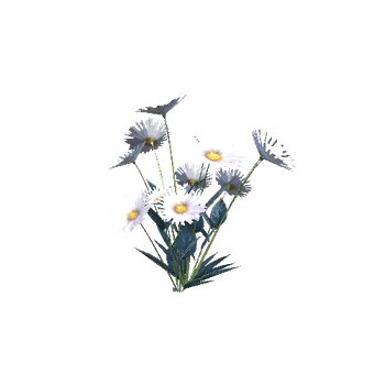 Flower11