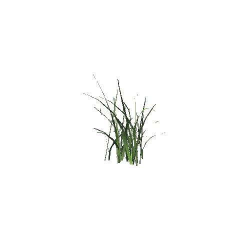 Grass2