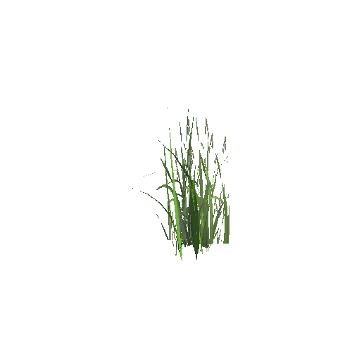 Grass7