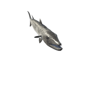 Barracuda_Mesh_M