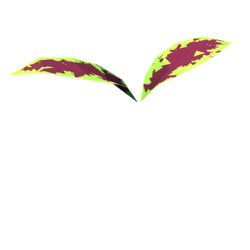 Street_Purple_Coleus_Leaves_01