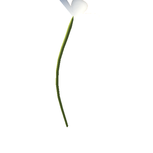 SM_flower_02