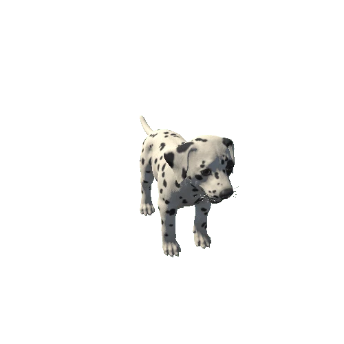 Puppy_Dalmatian_HIghPoly_c1