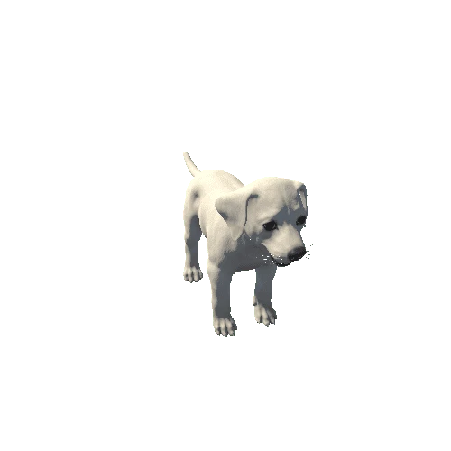 Puppy_Dalmatian_HIghPoly_c3