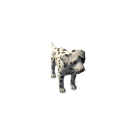 Puppy_Dalmatian_LOD_c2