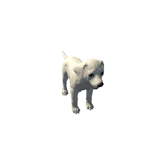 Puppy_Dalmatian_LowPoly_c3