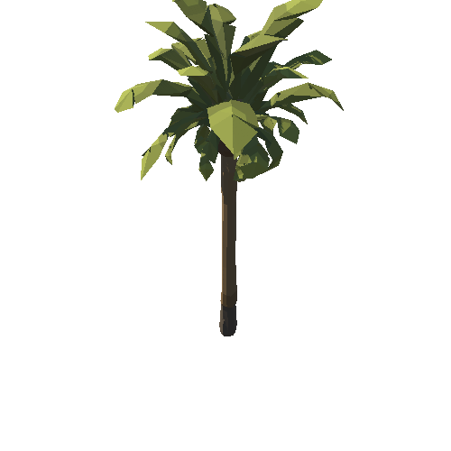 SM_Env_Tree_Palm_01