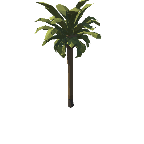 SM_Env_Tree_Palm_02