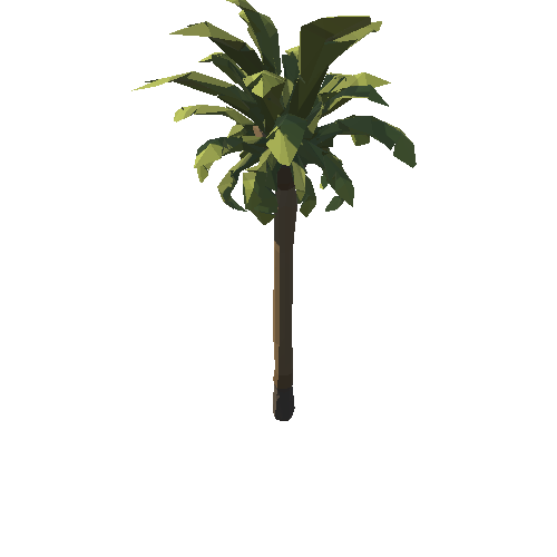 SM_Env_Tree_Palm_03