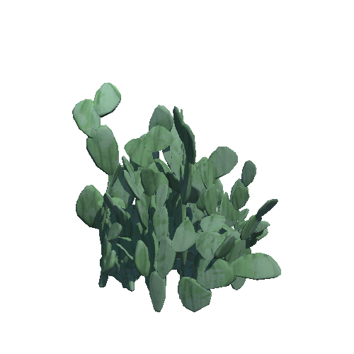 Cactus_Large