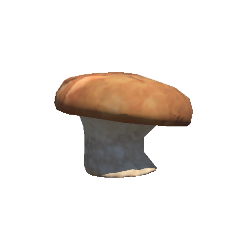 Mushroom