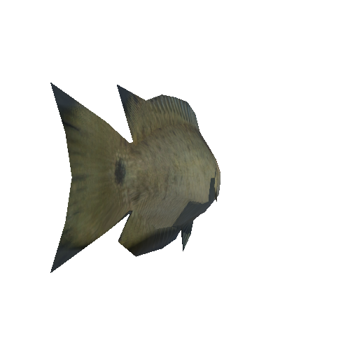 fish_2