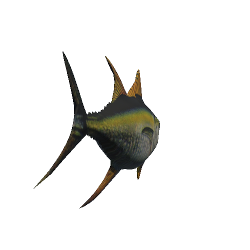 fish_4