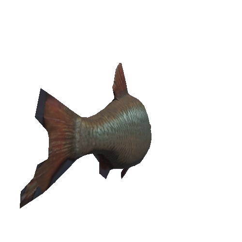 fish_5