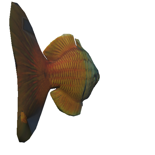 fish_7