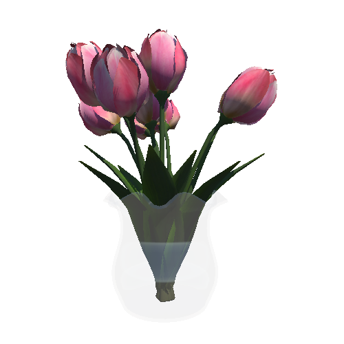 tulips