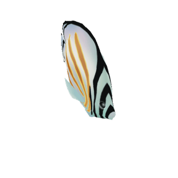 Kikakapu_Ornate_Butterflyfish